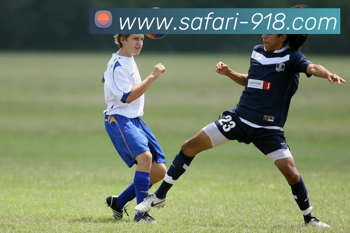 博天堂APP 封面图